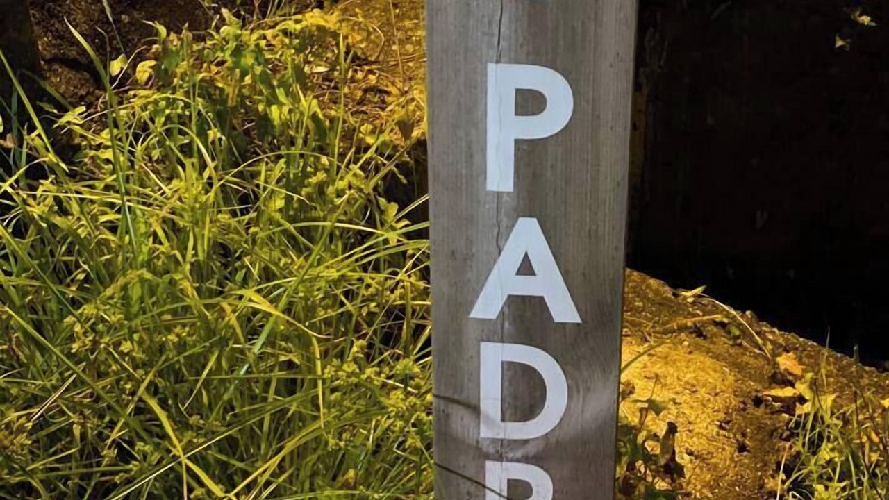 Photo of Outdoor in Padron