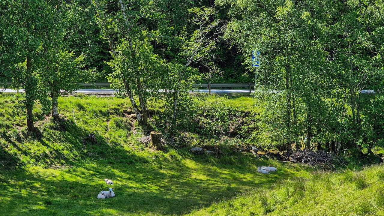 Photo of Others in Eikelandsosen