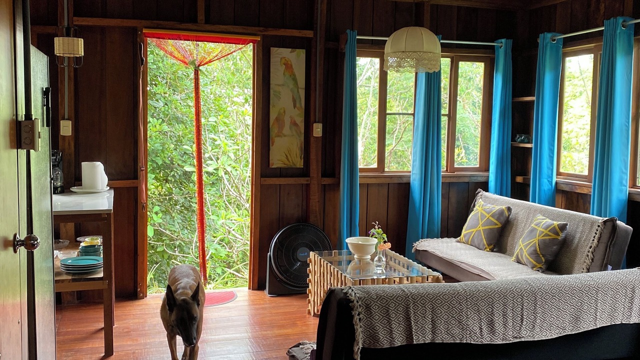 Photo of Livingroom in Rincon
