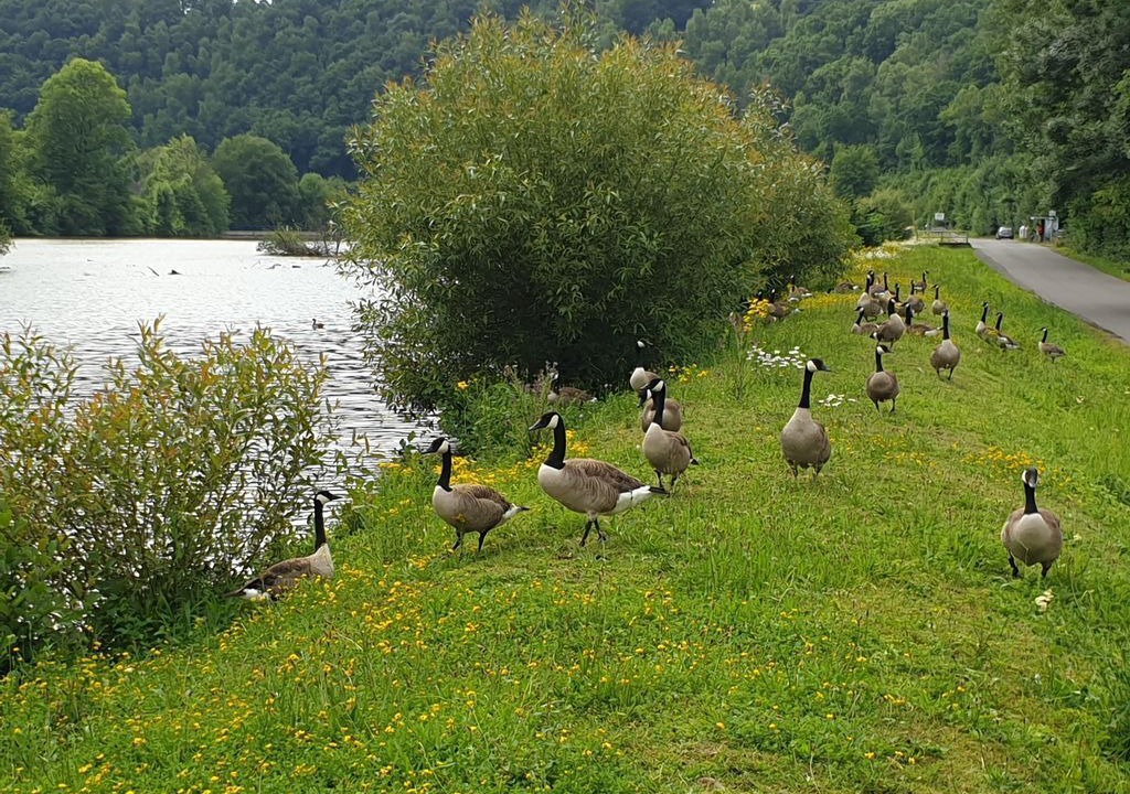 Photo of Others in Rodt