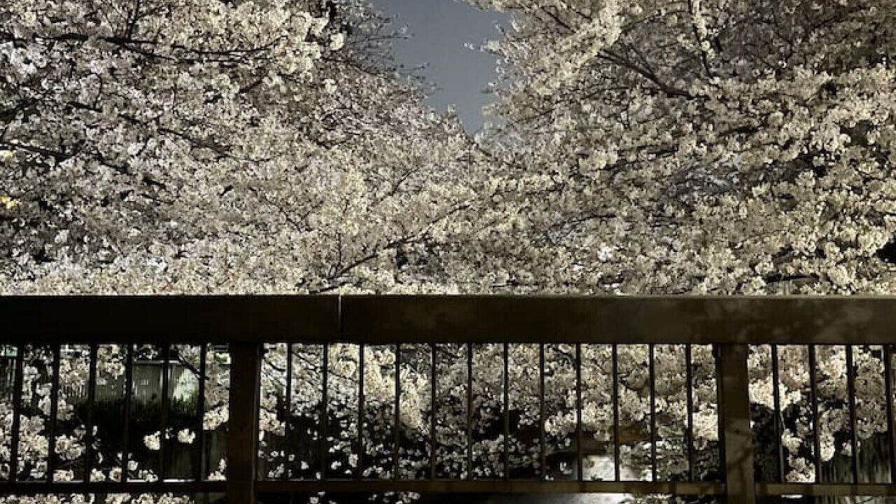 Photo of Outdoor in Nakano