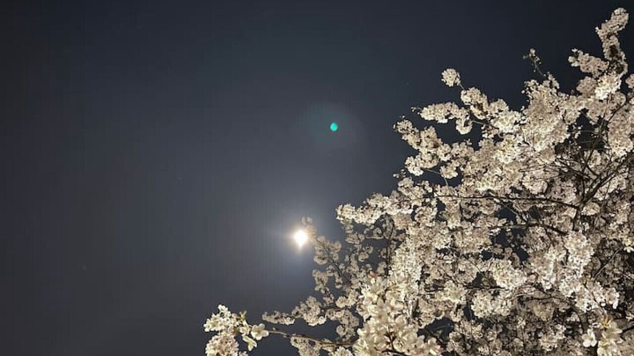 Photo of Others in Nakano