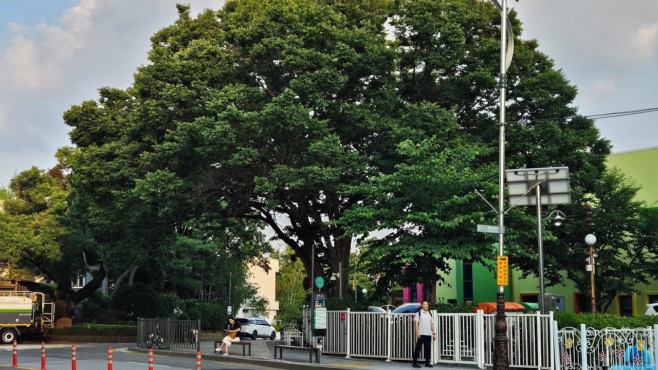 Photo of Others in Cheongunhyoja-dong