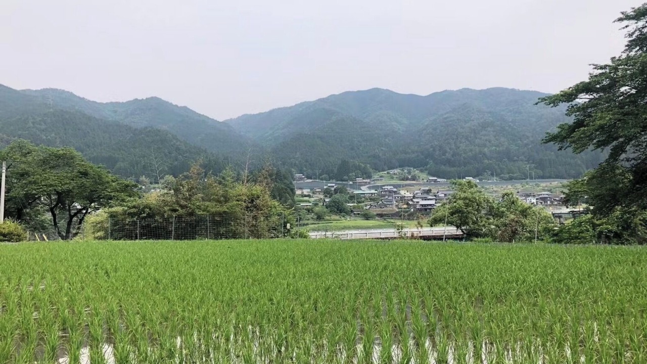 Photo of Others in Gero