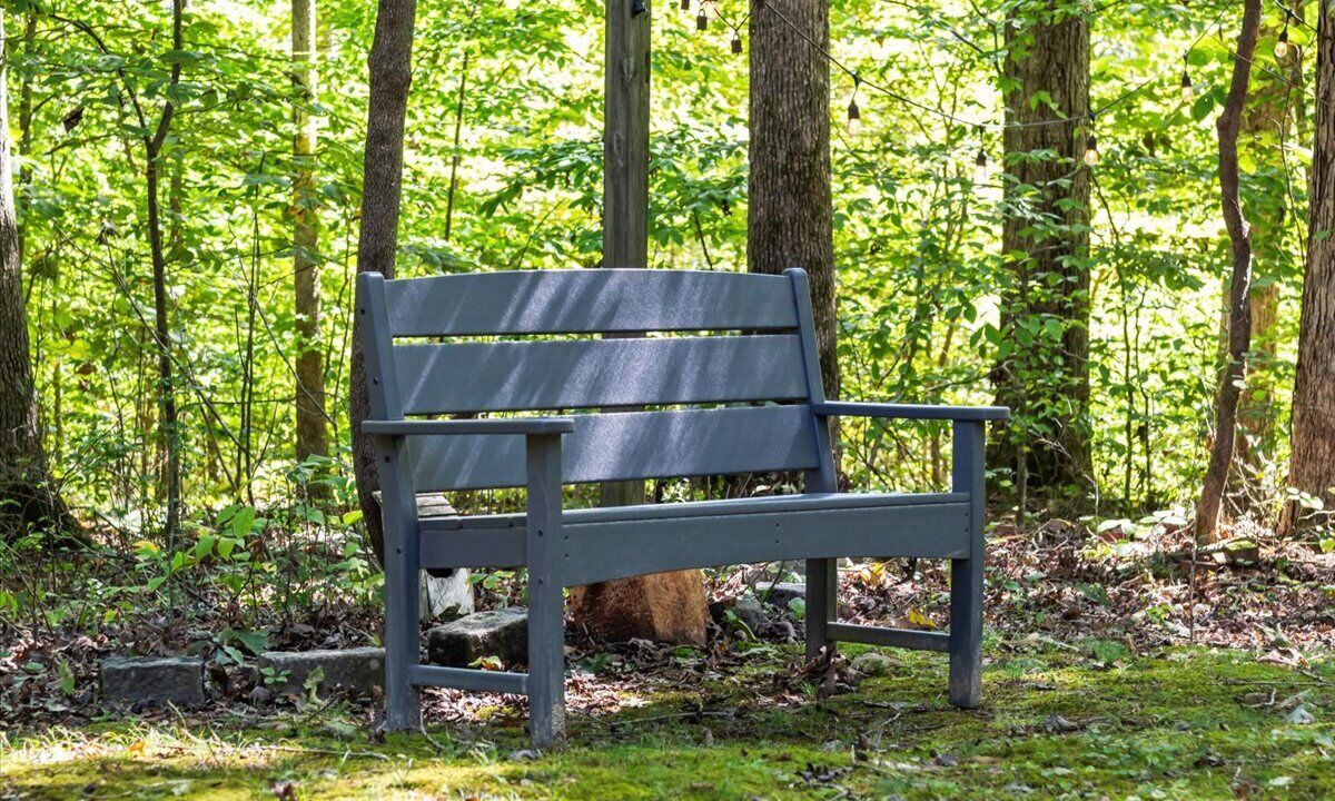 Photo of Outdoor in White Bluff