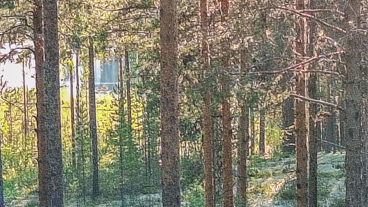 Photo of Others in Utajarvi