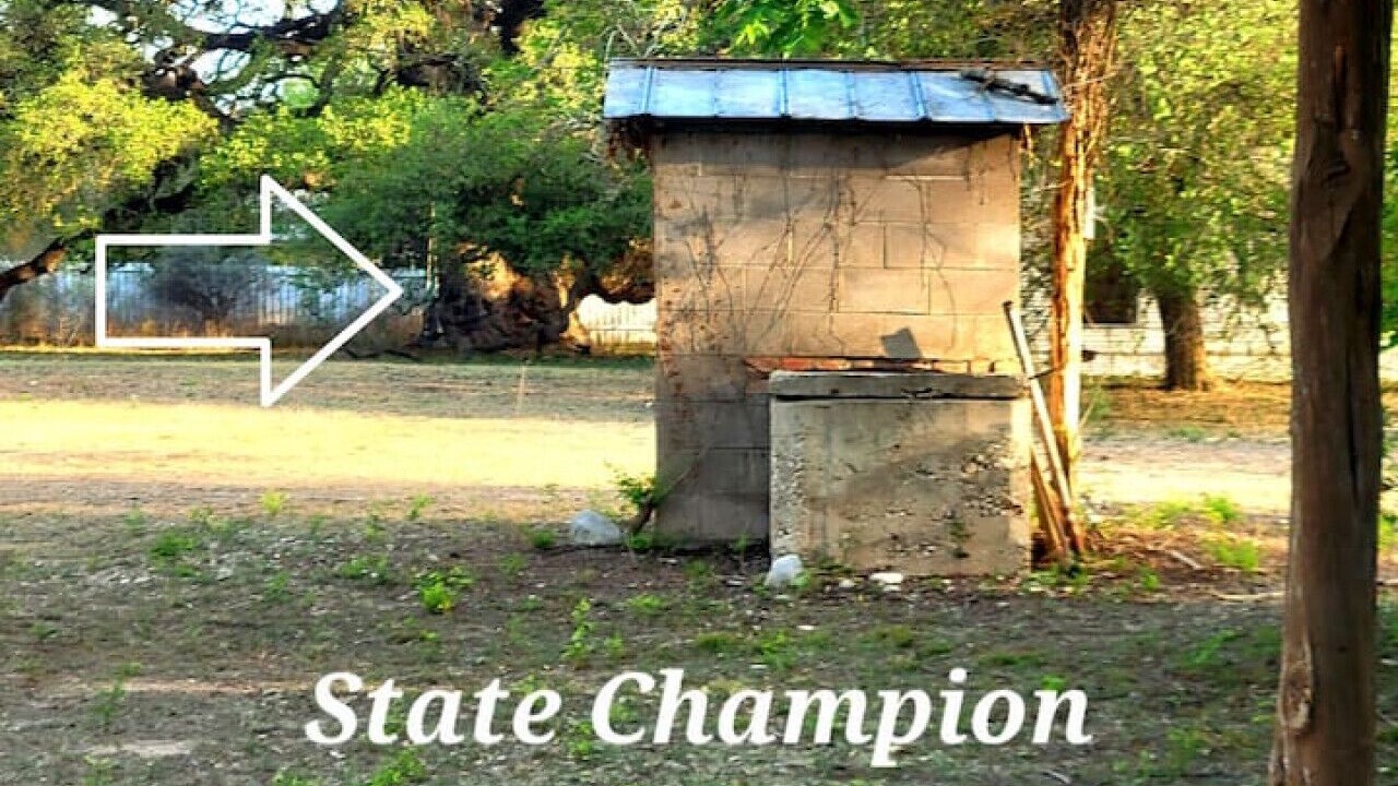 Photo of Outdoor in Rio Frio