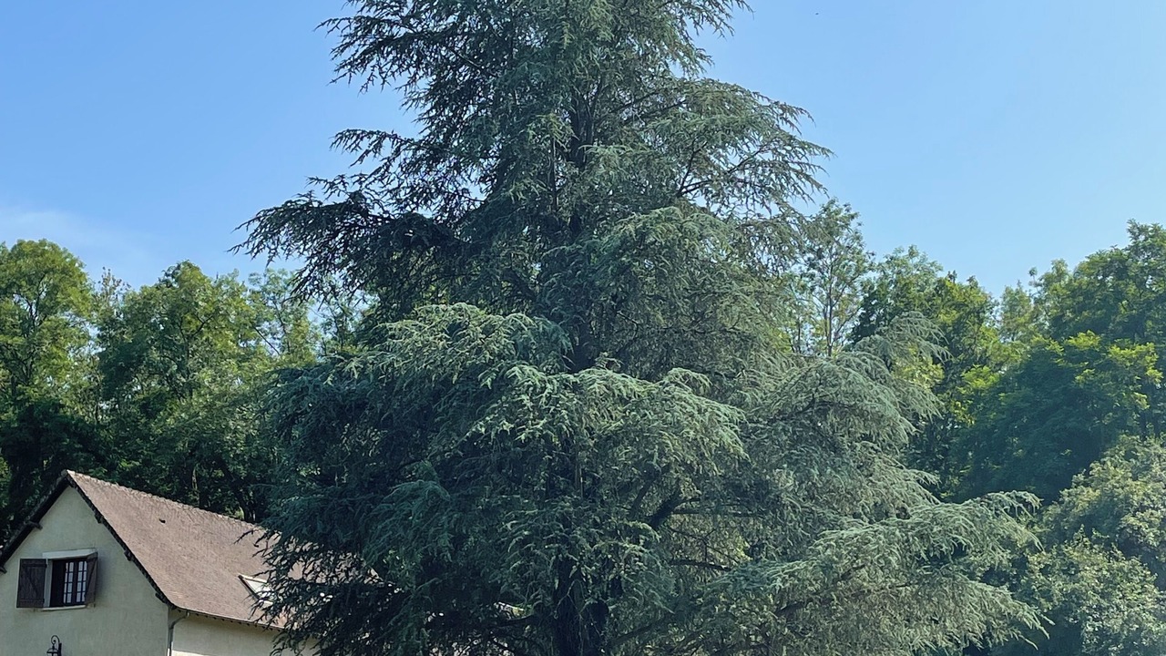 Photo of Outdoor in Orphin