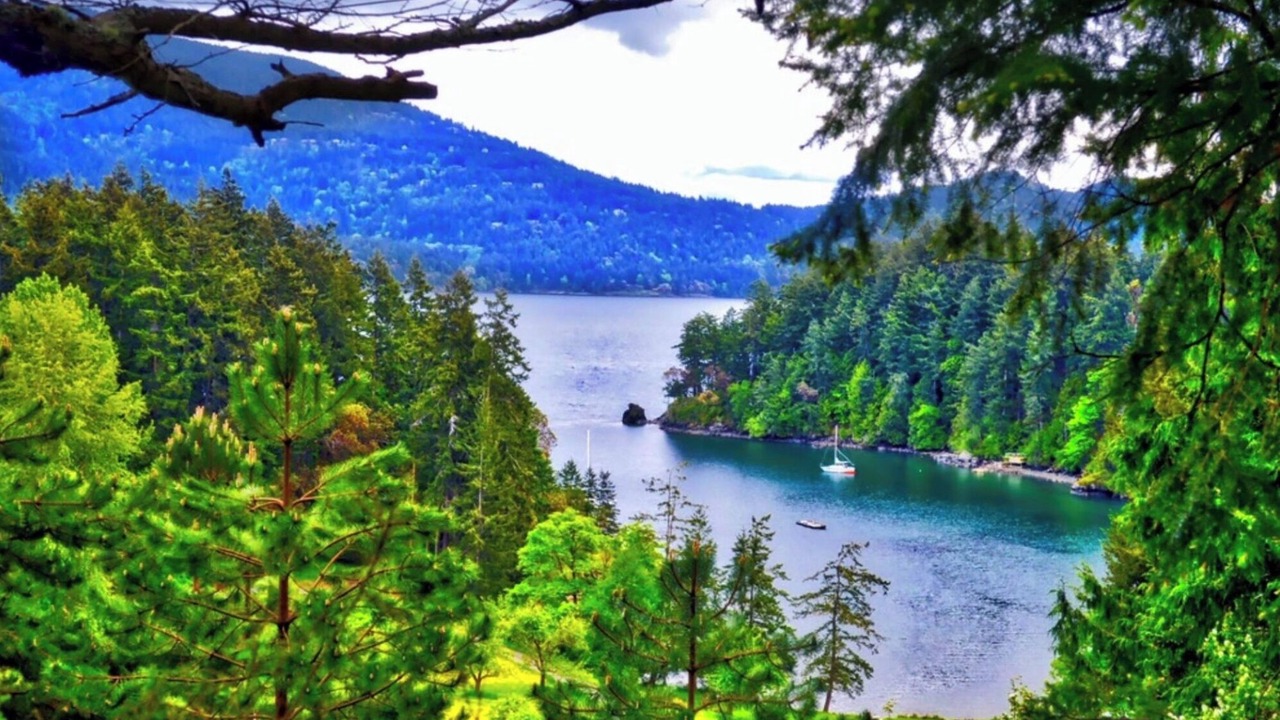 Photo of Others in Deer Harbor