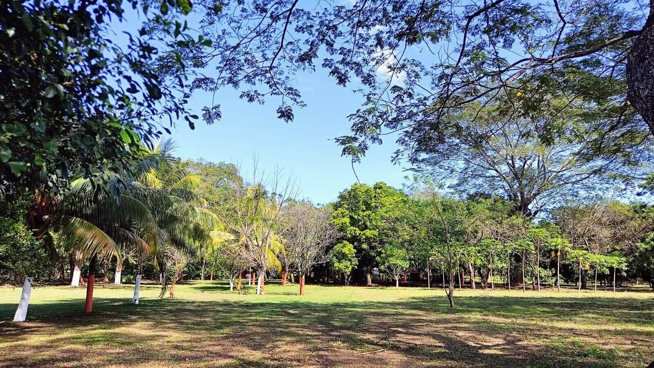 Photo of Others in Diriomo