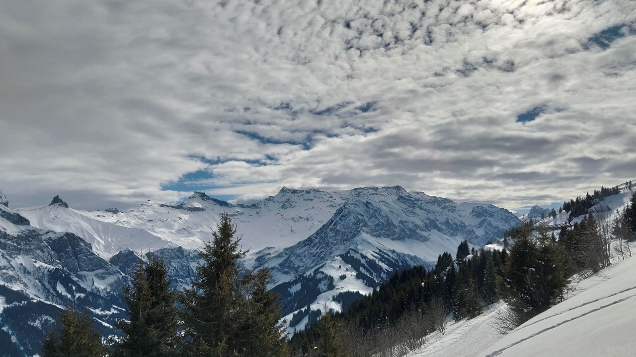 Photo of Others in Adelboden