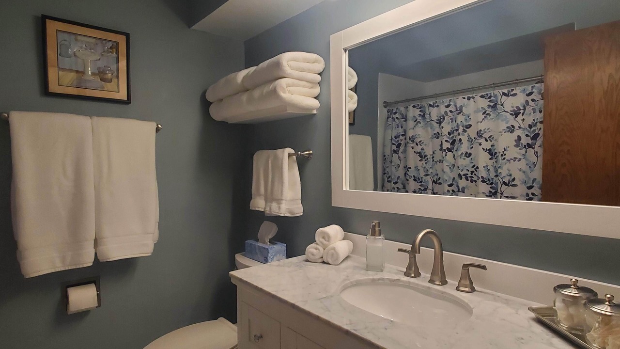 Photo of Bathroom in Palos Hills