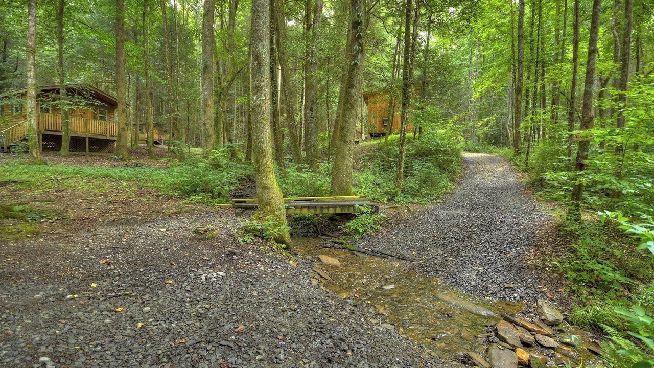 Photo of Others in Ellijay