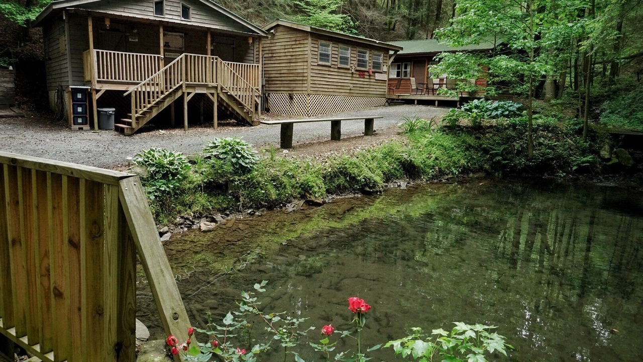 Photo of Outdoor in Ellijay