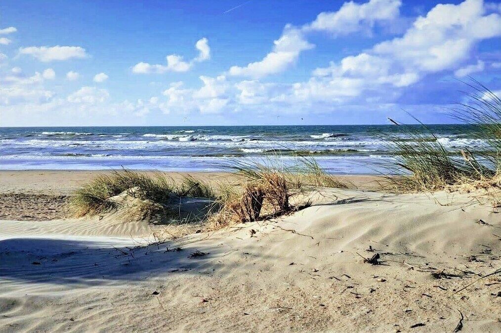 Photo of Others in De Panne
