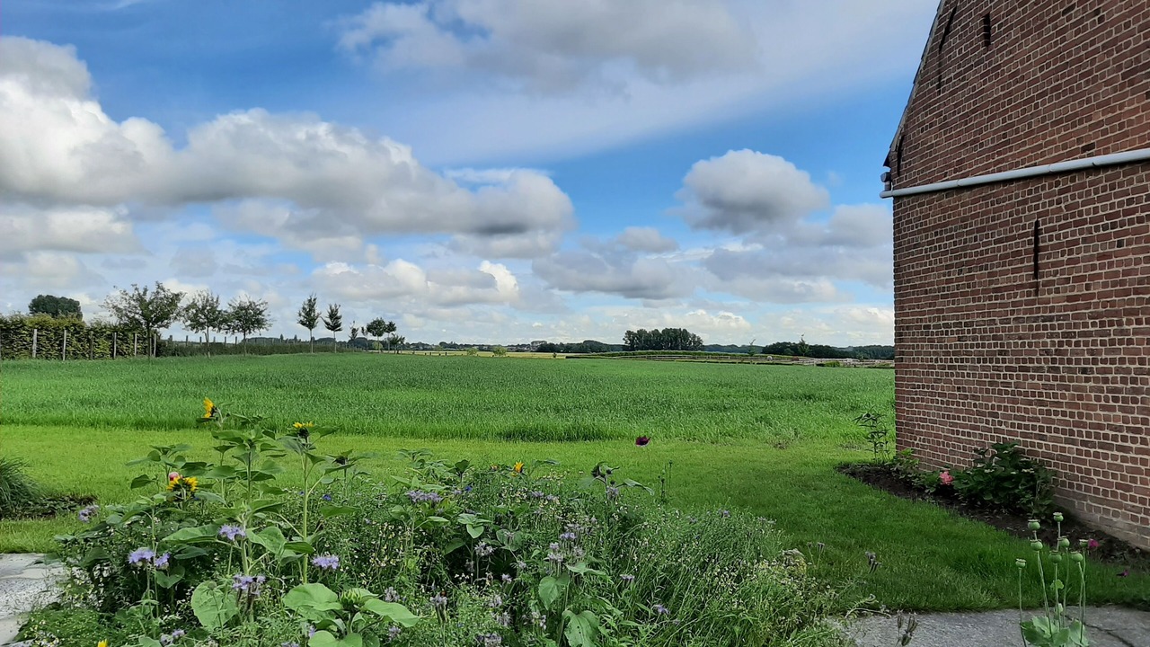 Photo of Outdoor in Sint-Denijs-Boekel
