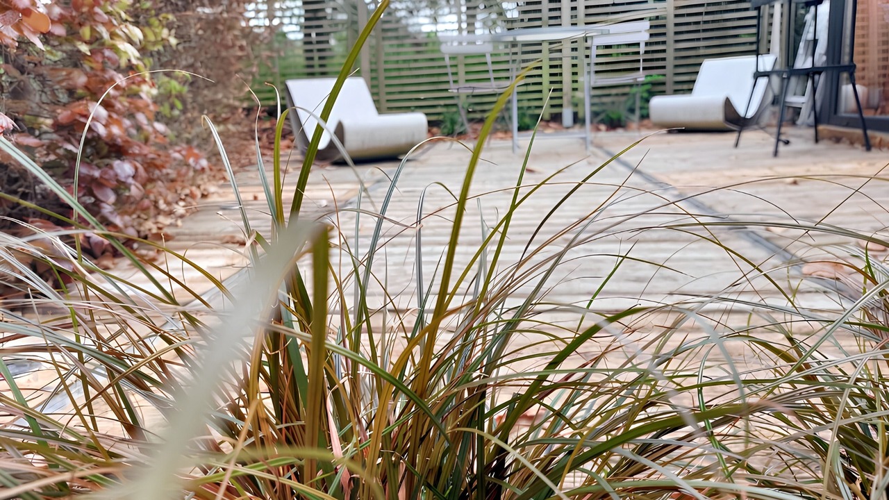 Photo of Outdoor in Ohey
