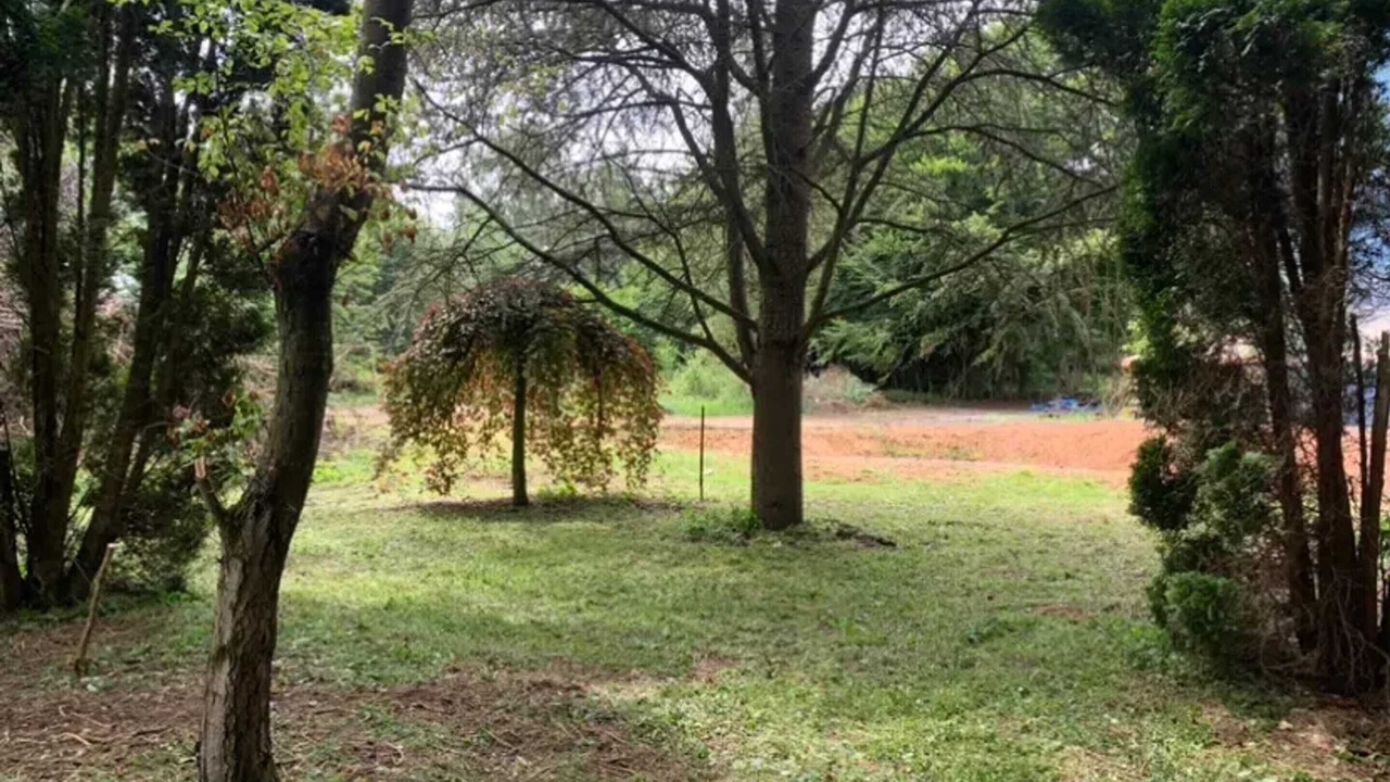 Photo of Outdoor in Ohey