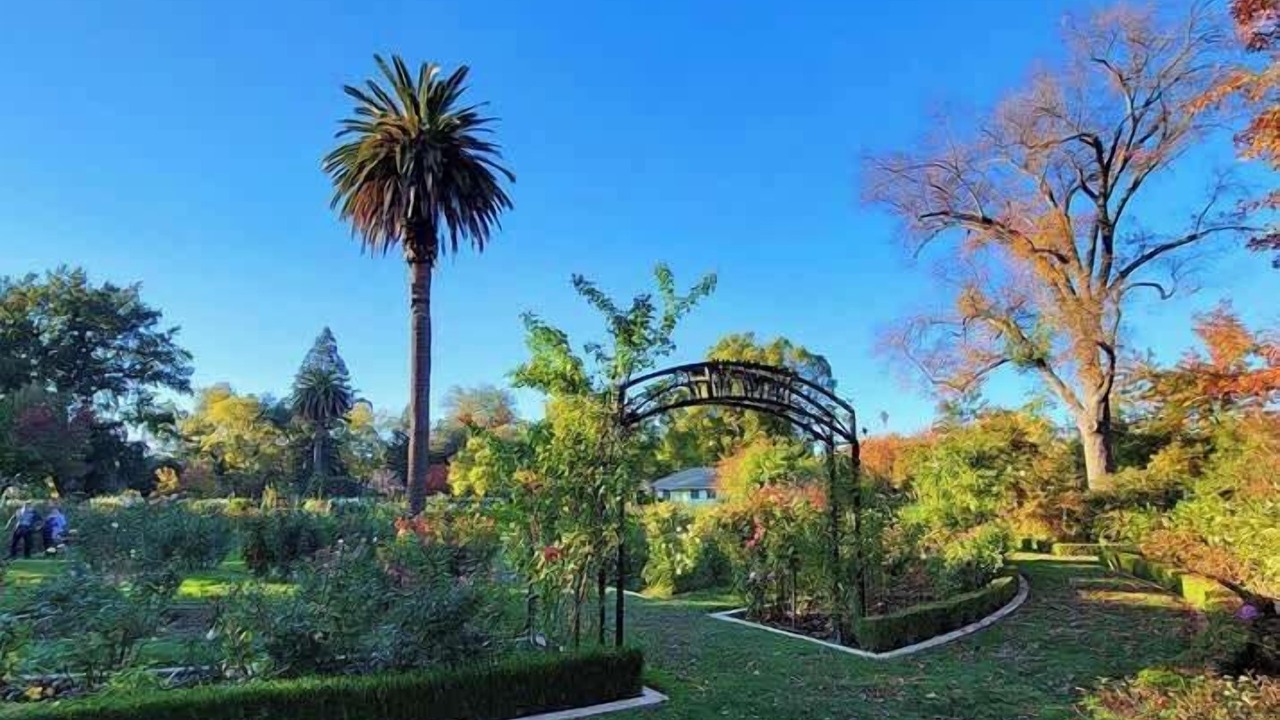 Photo of Outdoor in Midtown Sacramento