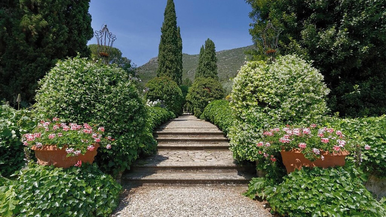 Photo of Outdoor in Vicopelago