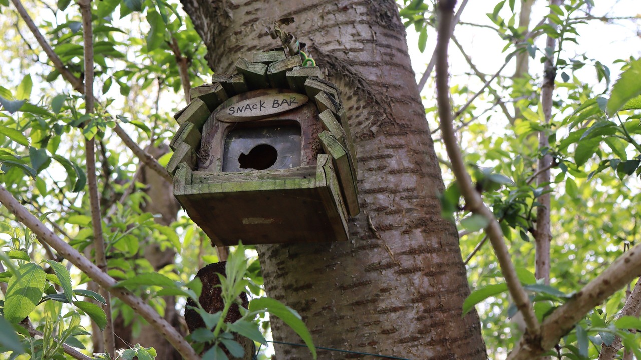 Photo of Outdoor in Sint-Antelinks