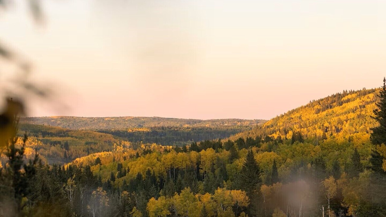 Photo of Others in Calgary