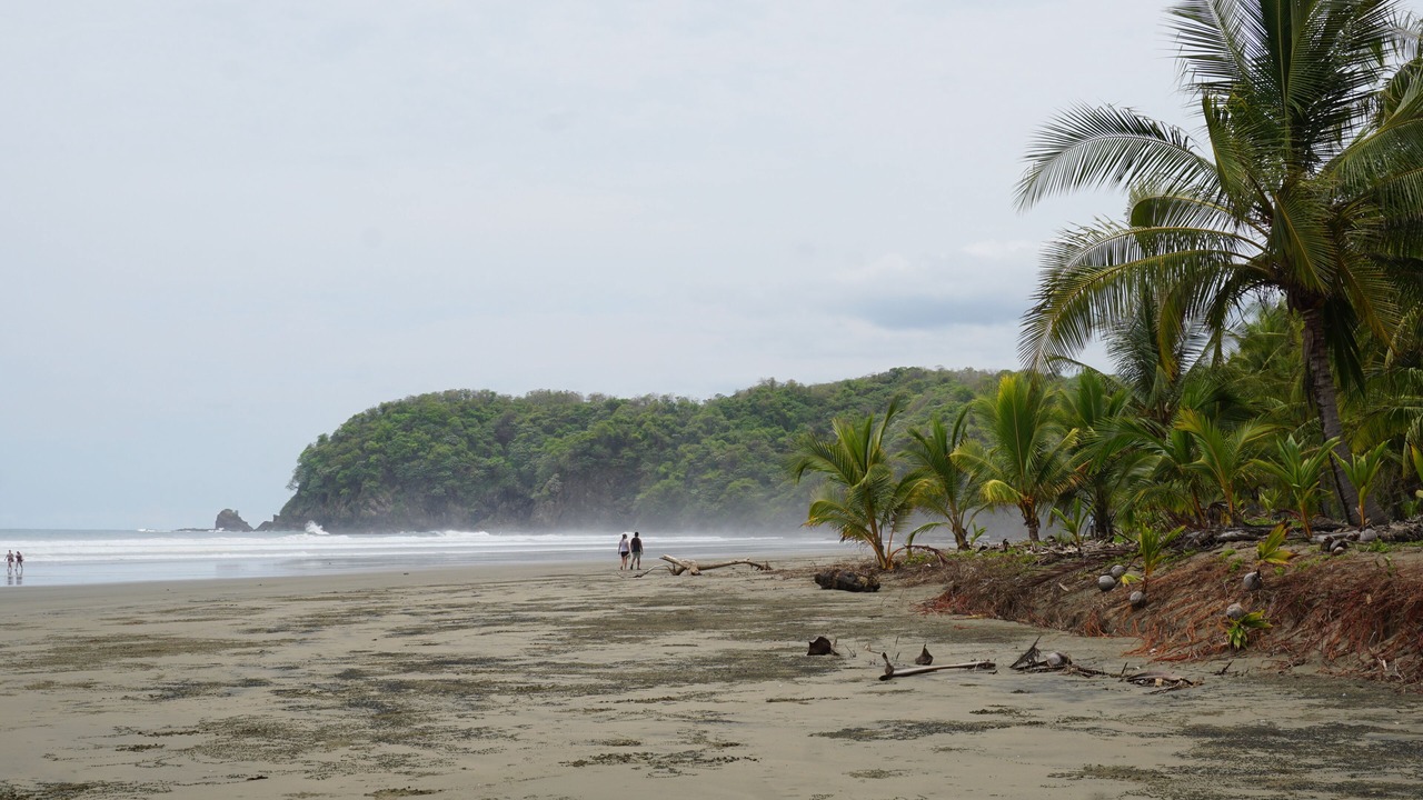Photo of Others in Javilla