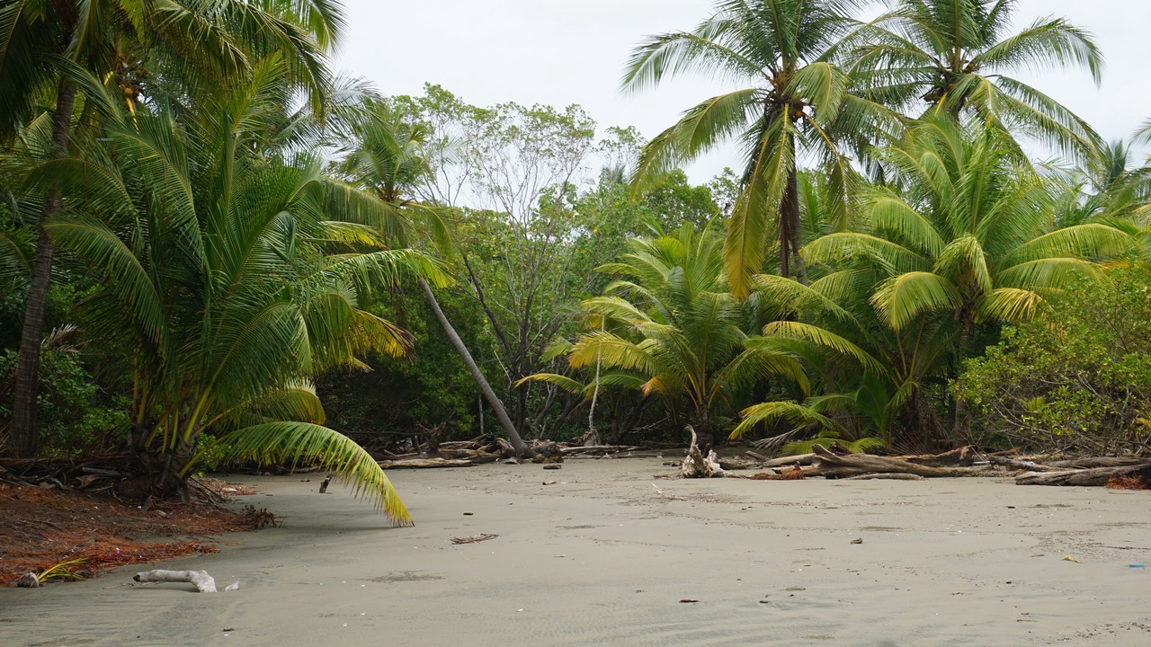 Photo of Others in Javilla