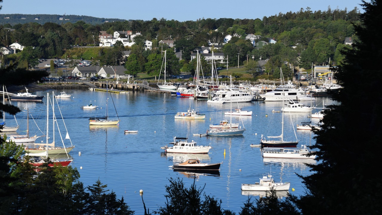 Photo of Others in Northeast Harbor
