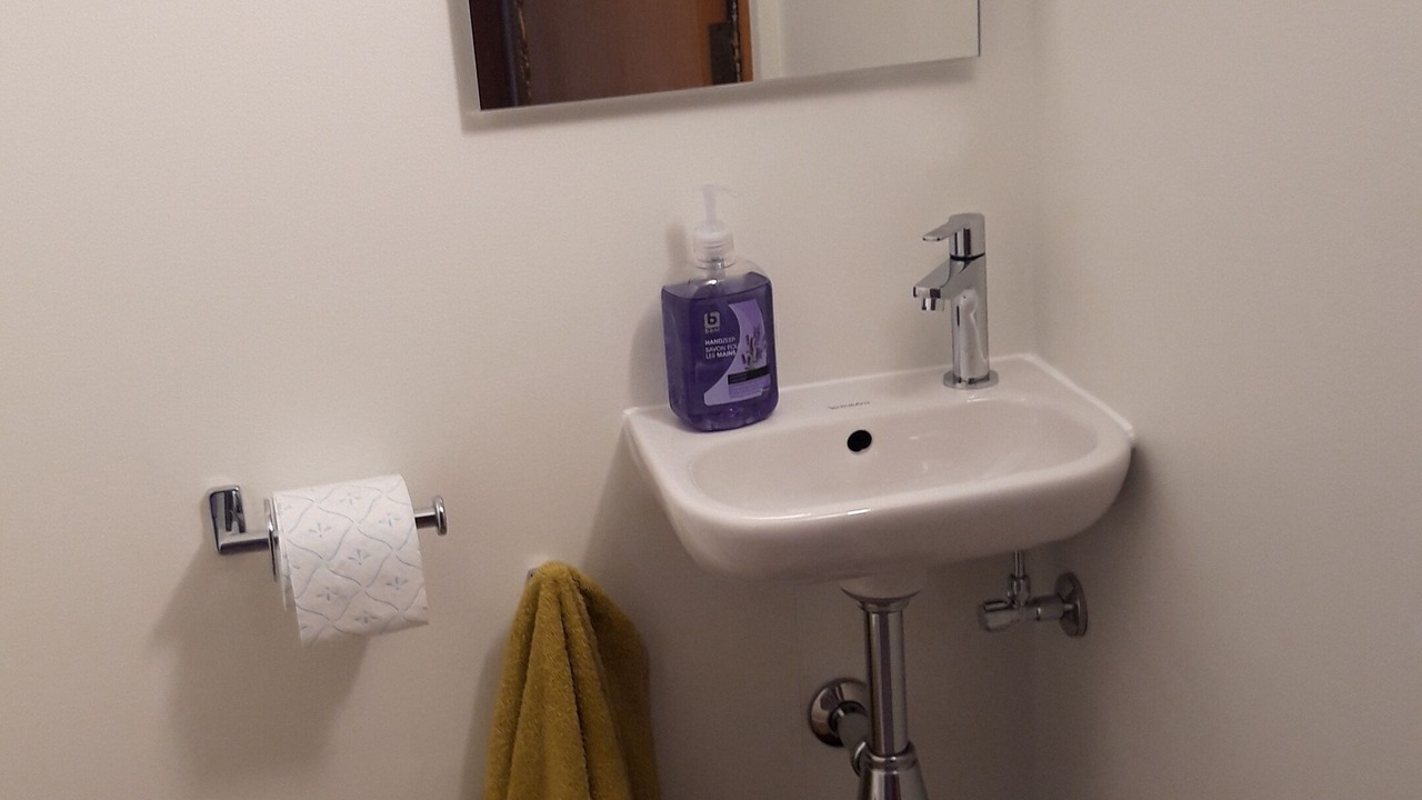Photo of Bathroom in Molenstede