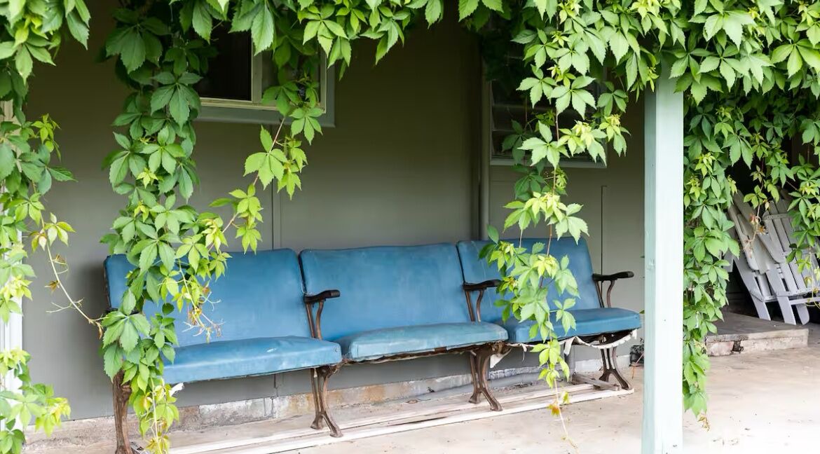 Photo of Outdoor in Crudine