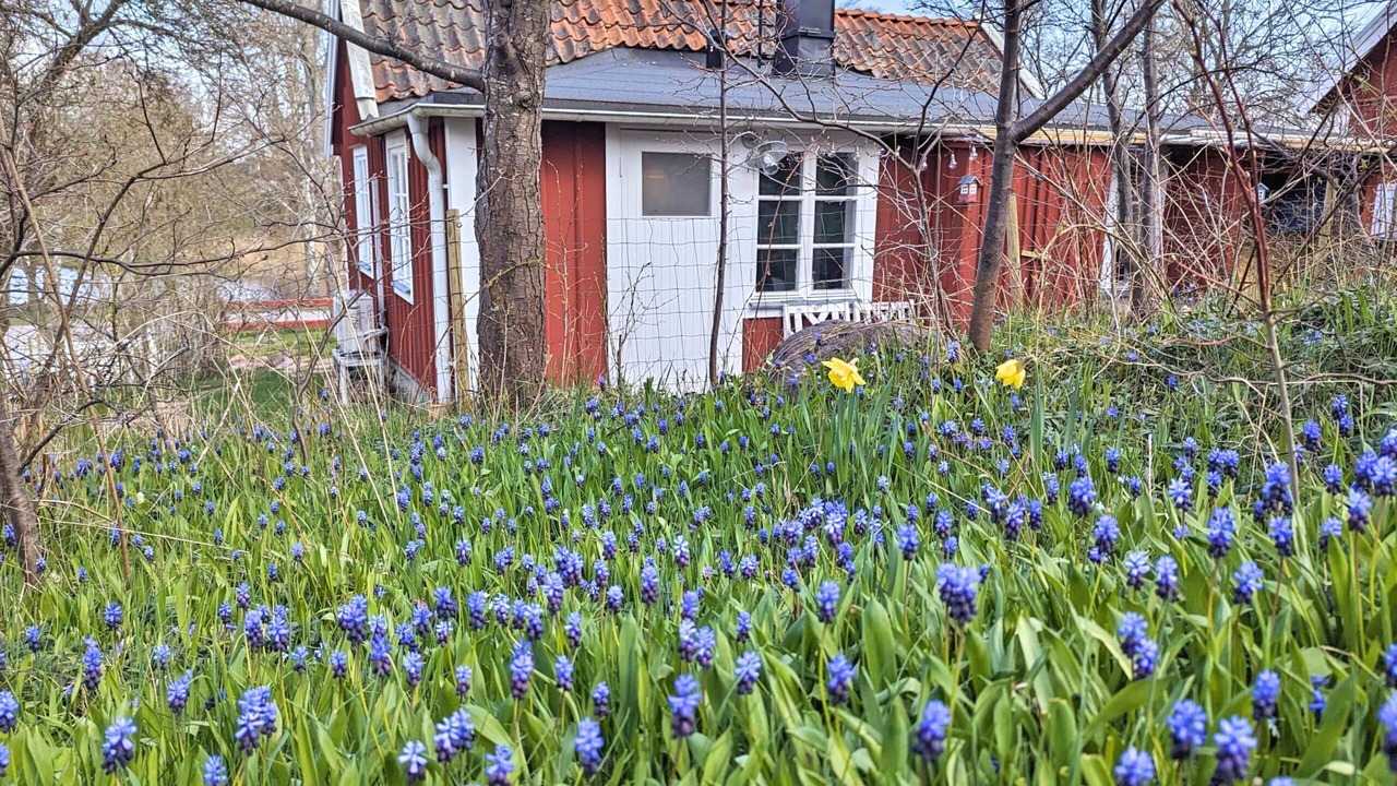 Photo of Outdoor in Oskarshamn Municipality