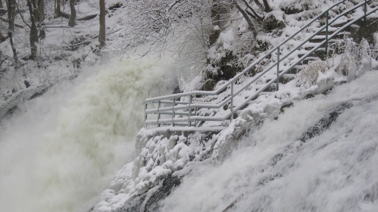 Photo of Outdoor in Coo