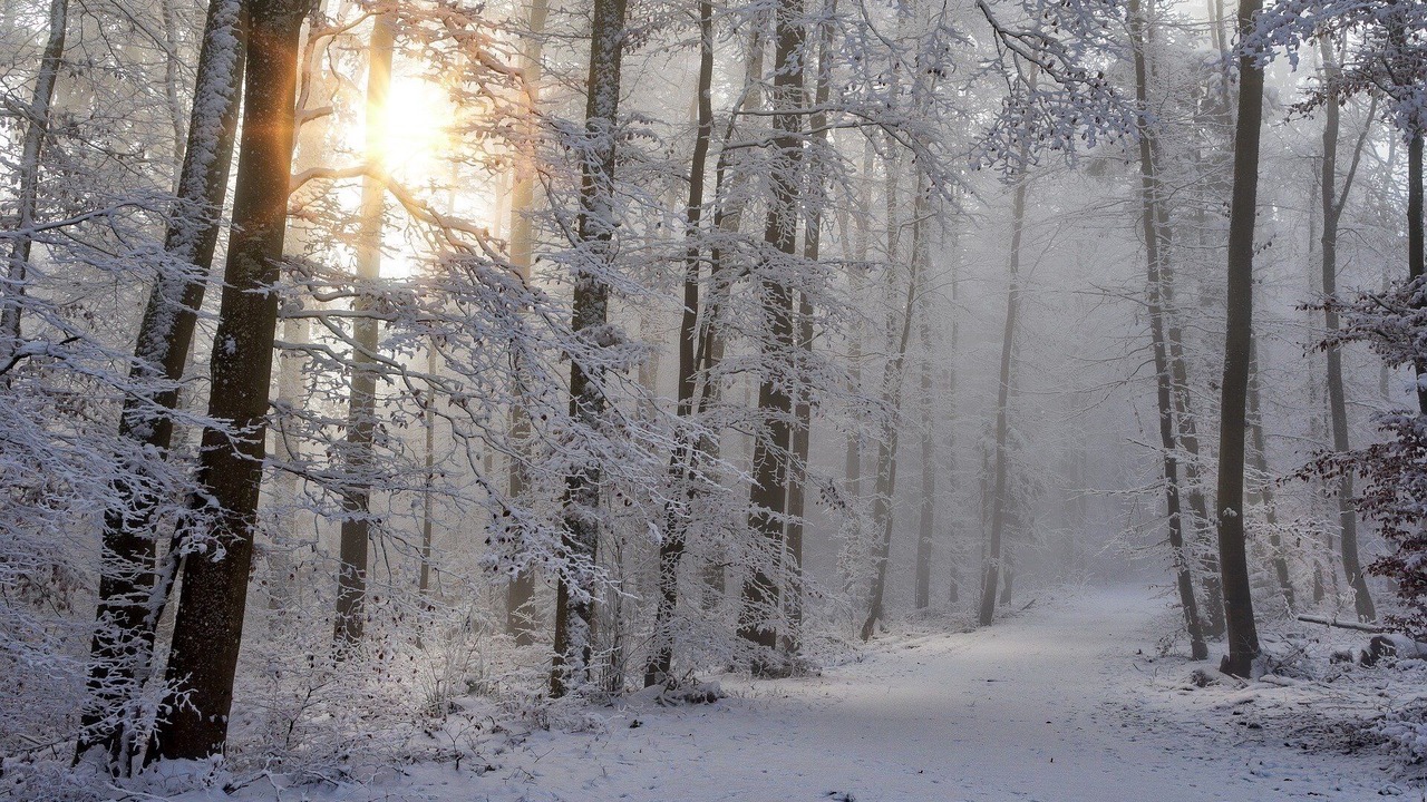 Photo of Outdoor in Coo