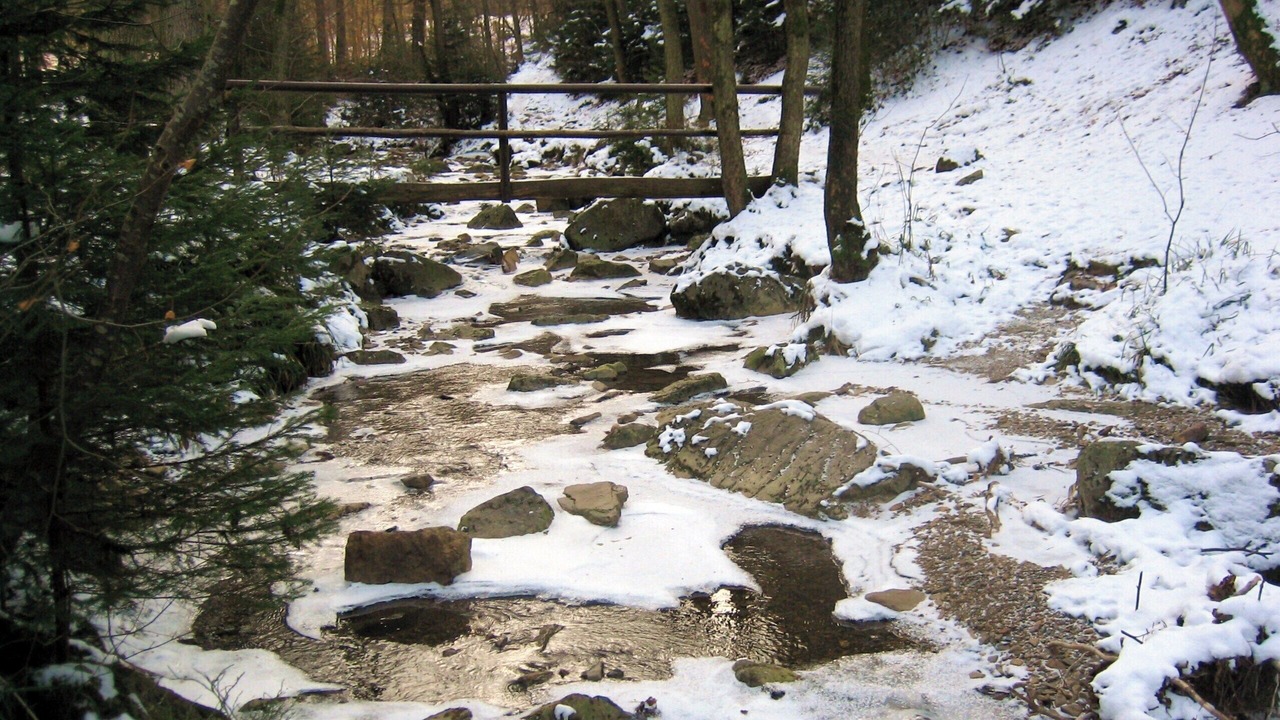 Photo of Outdoor in Coo