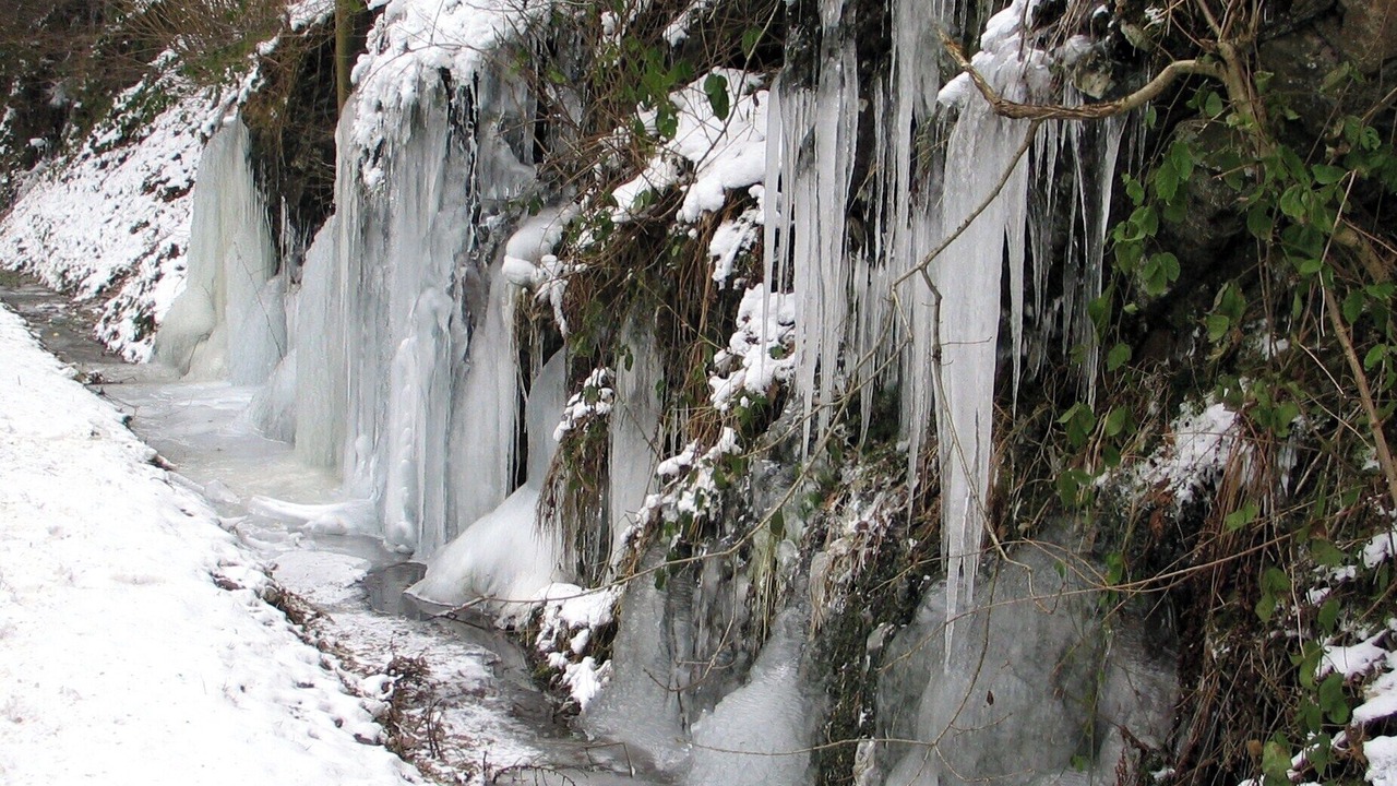 Photo of Outdoor in Coo