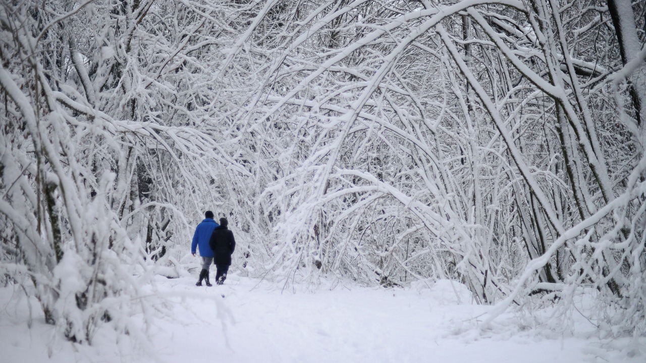 Photo of Outdoor in Coo