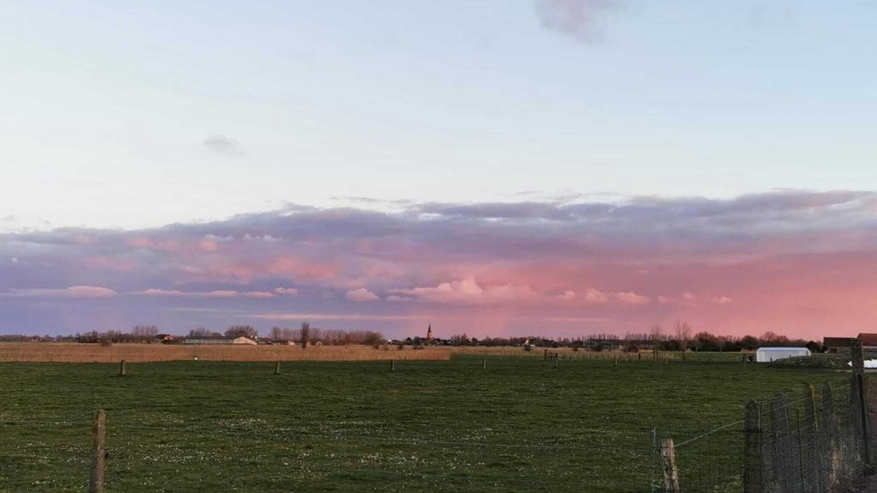 Photo of Others in De Haan