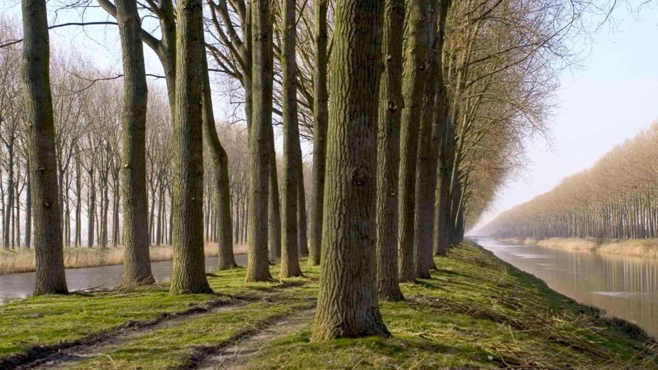 Photo of Others in De Haan