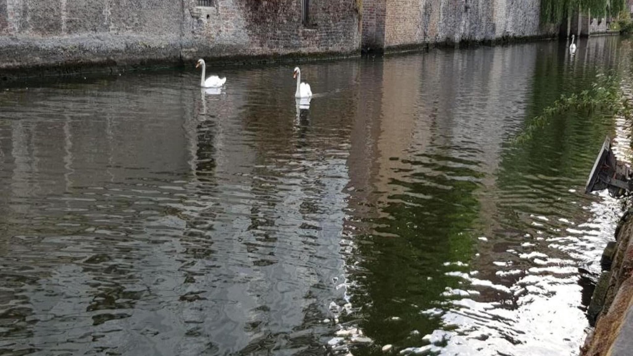 Photo of Others in De Haan