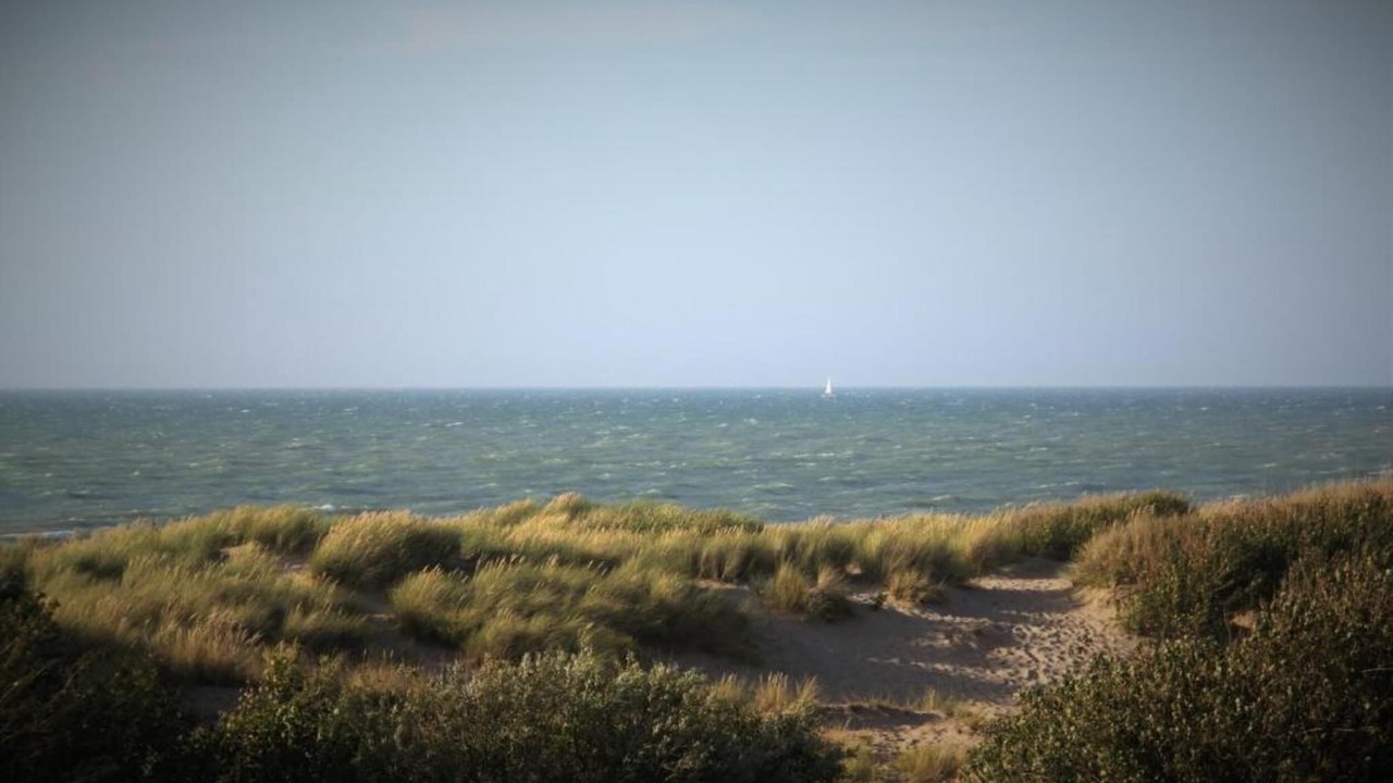 Photo of Others in De Haan