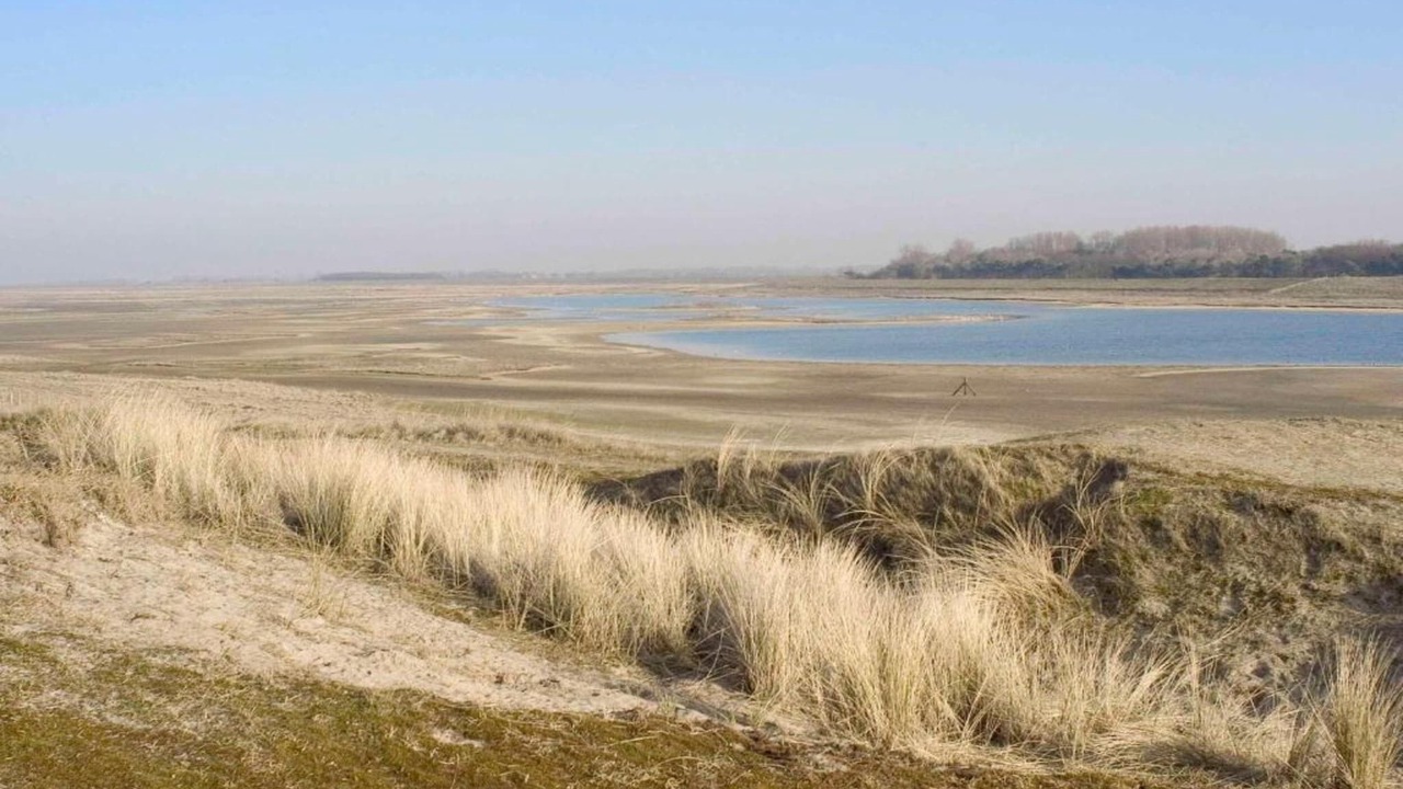 Photo of Others in De Haan