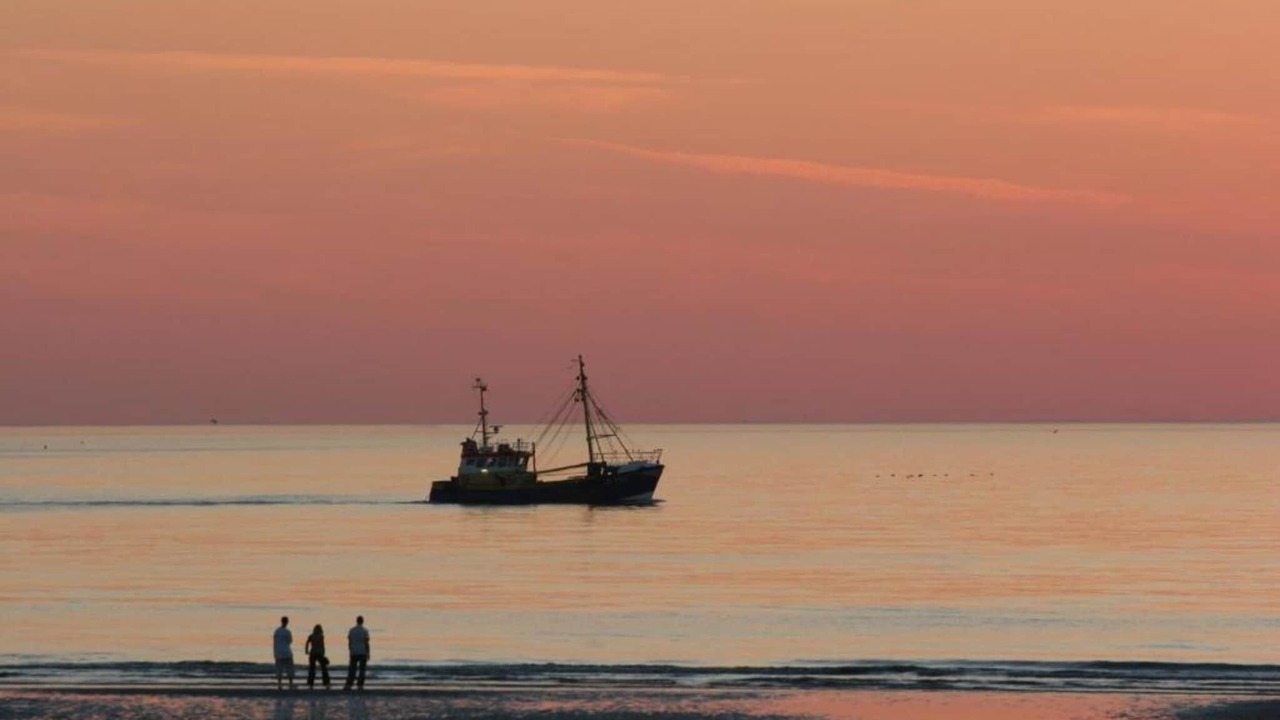 Photo of Others in De Haan
