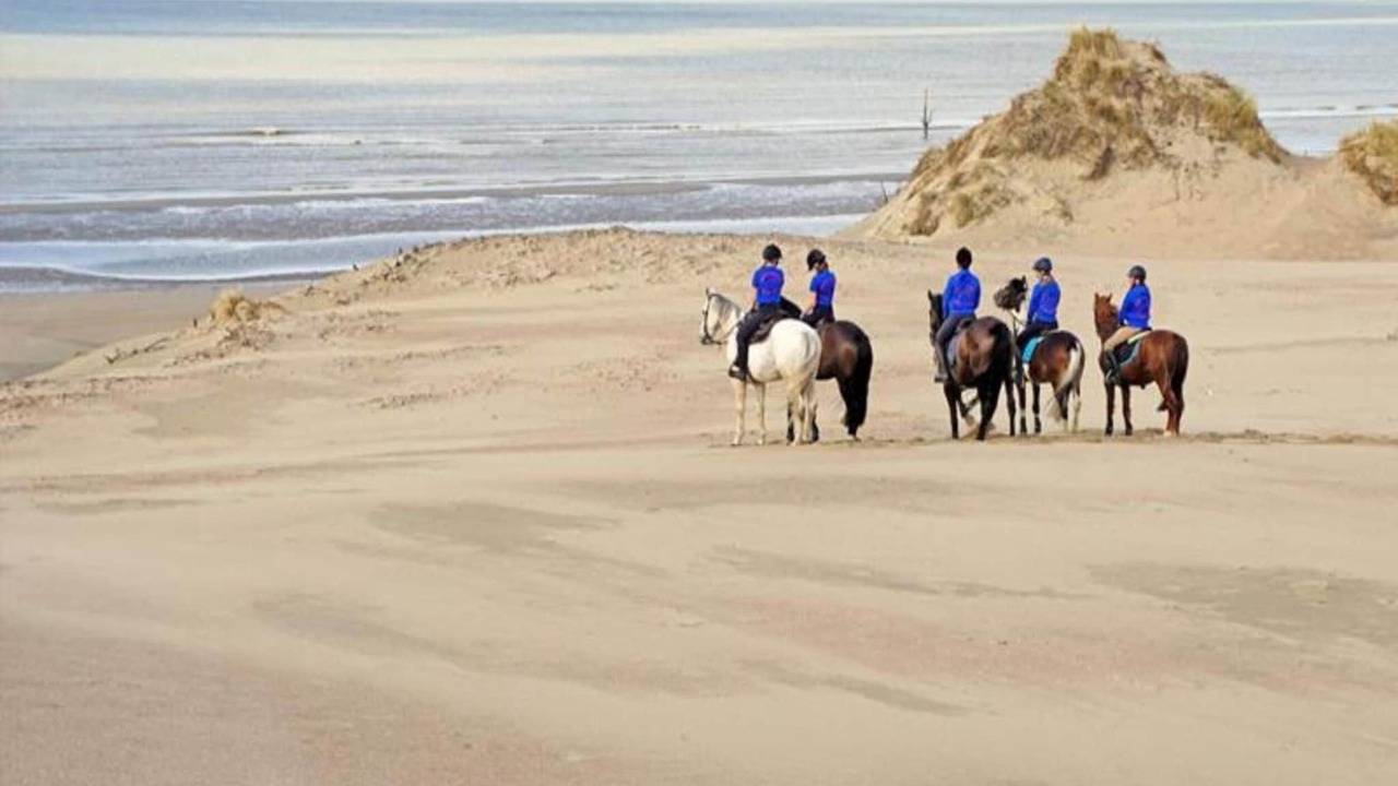 Photo of Others in De Haan