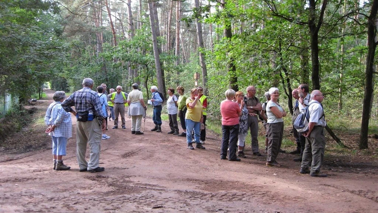 Photo of Others in Wechelderzande