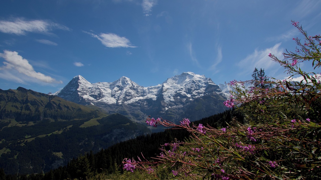 Photo of Others in Murren