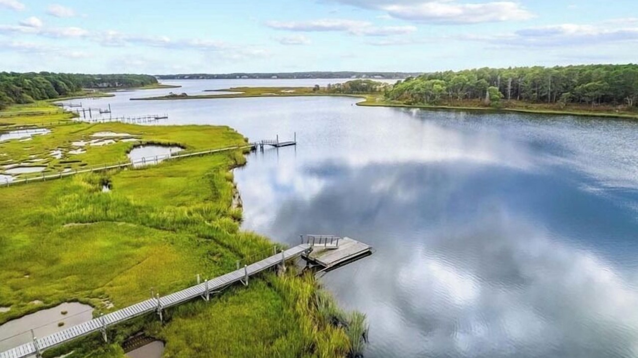 Photo of Others in Cotuit