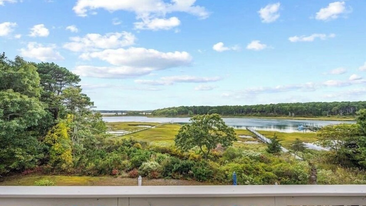 Photo of Others in Cotuit
