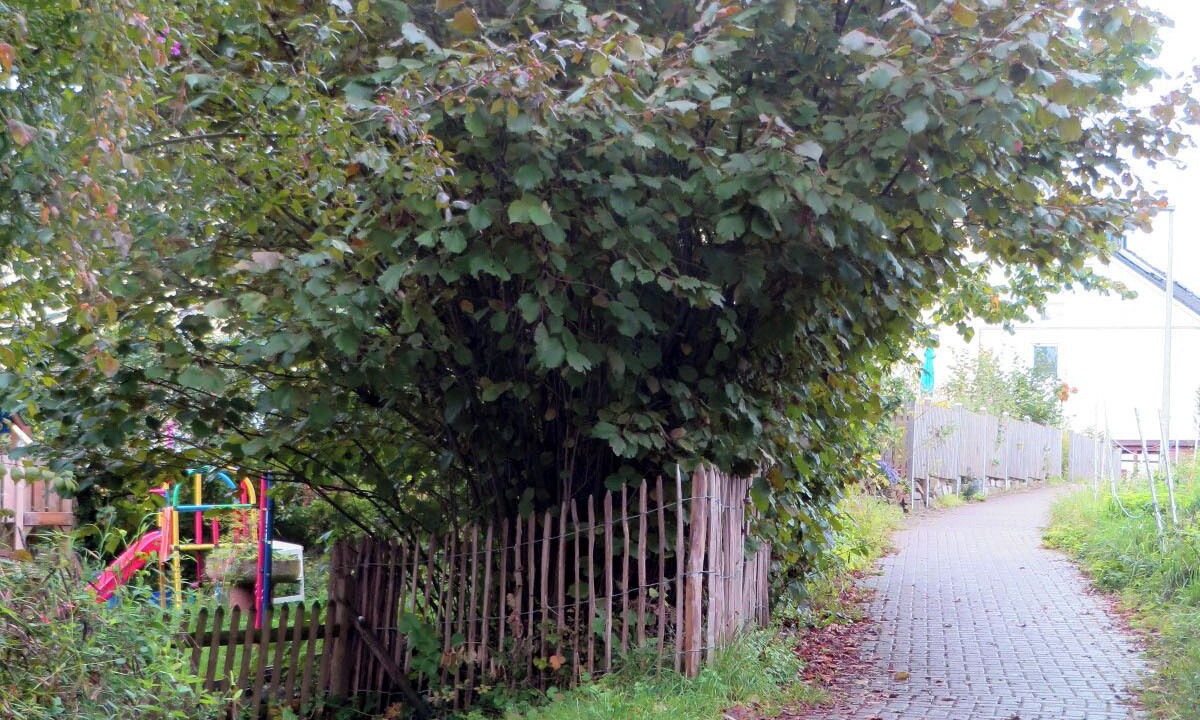 Photo of Outdoor in Alfter