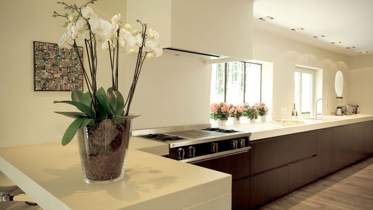 Photo of Kitchen in Paardenkouter